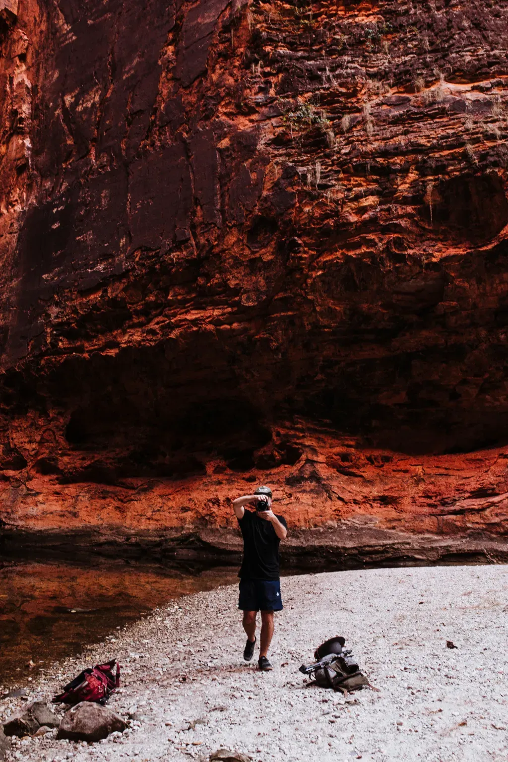 Bezlusterkowce Nikon